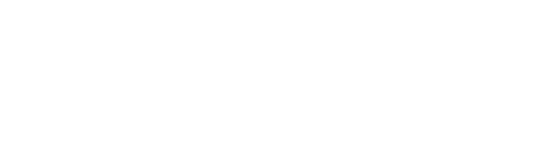 Black Lion Technologies