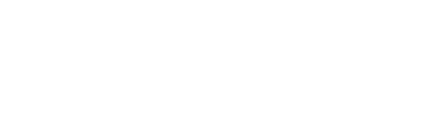 Black Lion Technologies